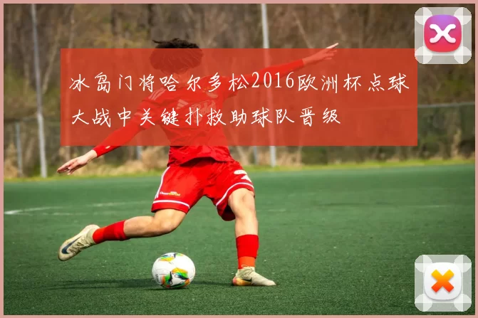 冰岛门将哈尔多松2016欧洲杯点球大战中关键扑救助球队晋级