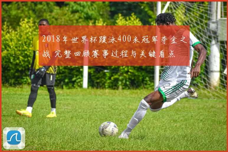 2018年世界杯蹼泳400米冠军夺金之战 完整回顾赛事过程与关键看点