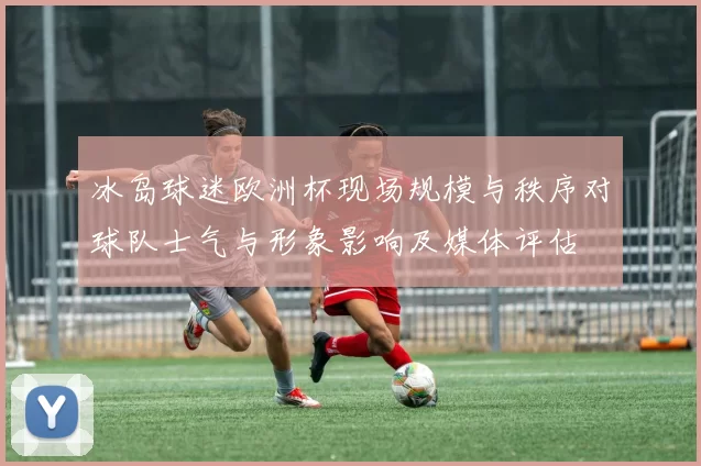 冰岛球迷欧洲杯现场规模与秩序对球队士气与形象影响及媒体评估