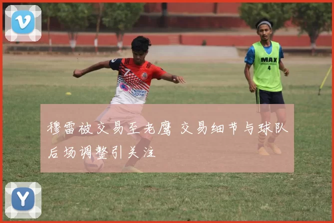 穆雷被交易至老鹰 交易细节与球队后场调整引关注