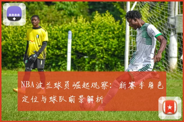 NBA波兰球员崛起观察：新赛季角色定位与球队前景解析