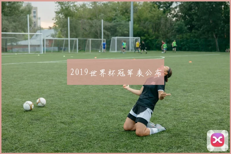 2019世界杯冠军表公布