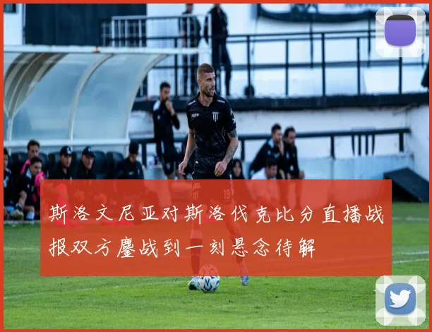 斯洛文尼亚对斯洛伐克比分直播战报双方鏖战到一刻悬念待解